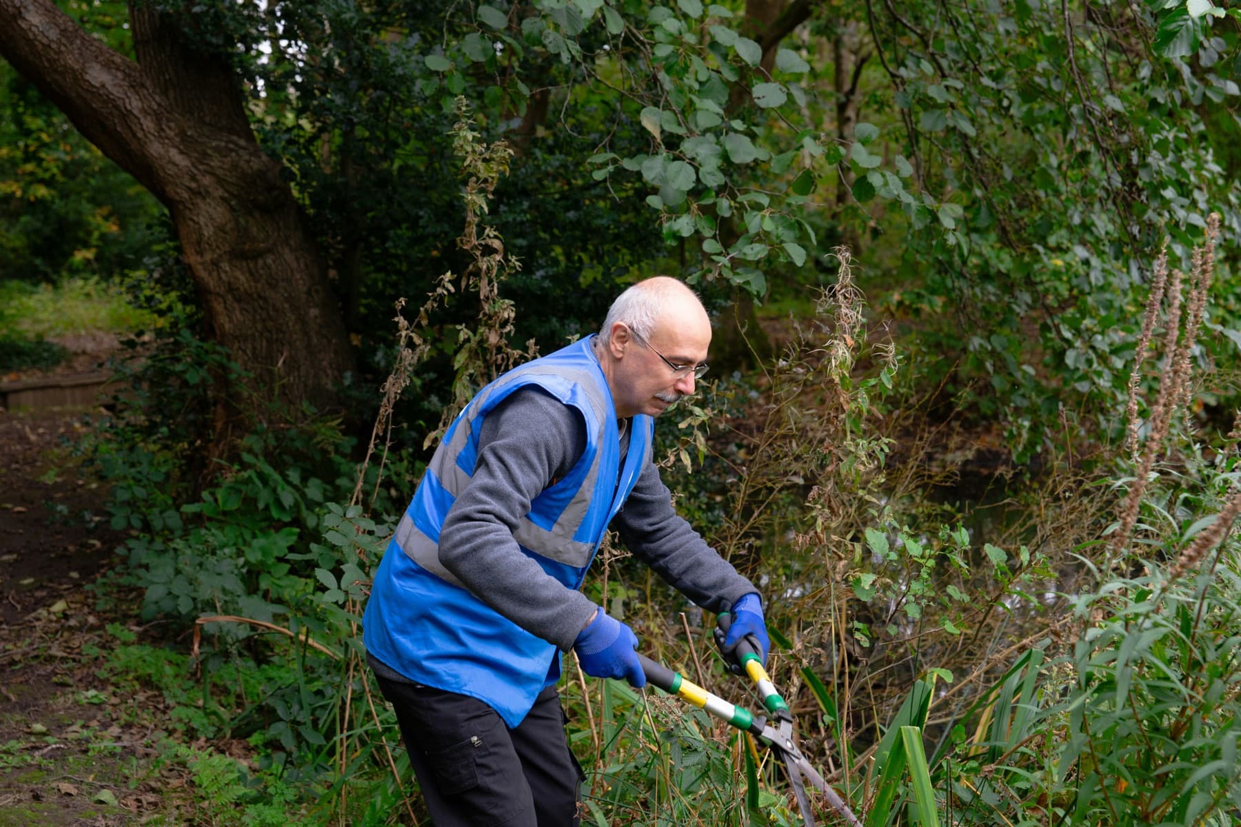A person trimming bushes in a garden.