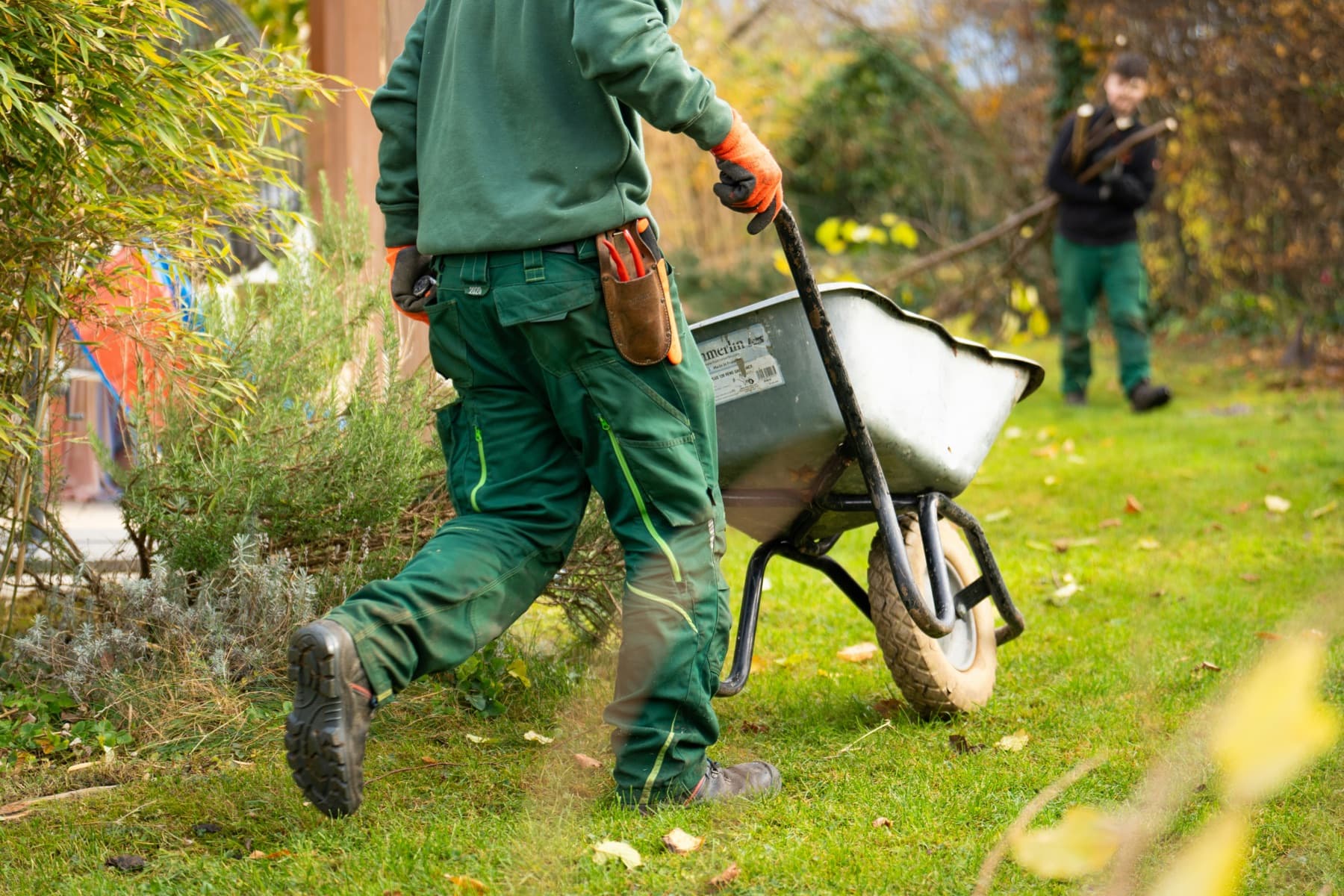 A landscaping worker pushing a wheelbarrow outdoors.